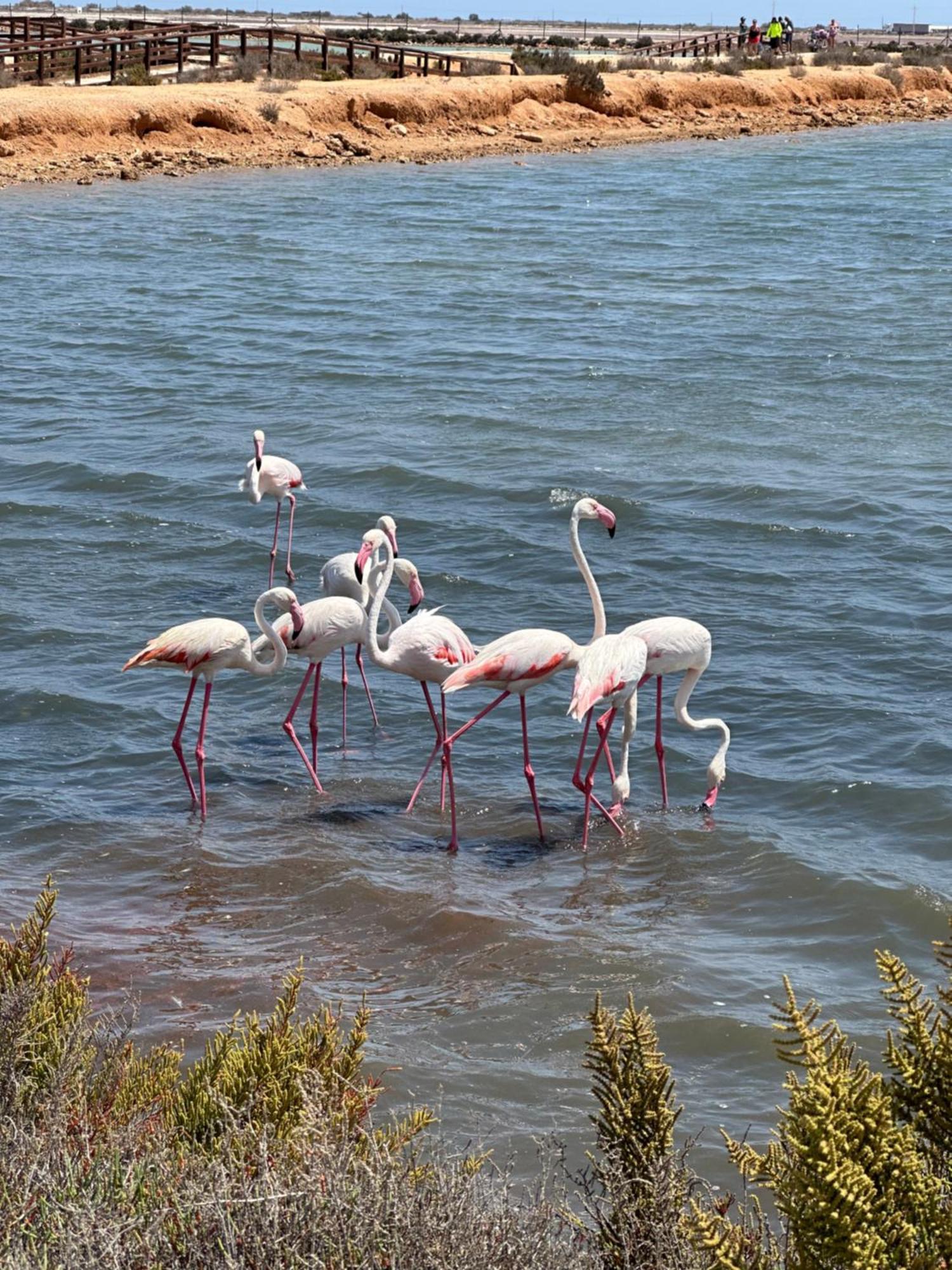 Mar Menor Paradise By Los Pinos Holidays Сан-Педро-дель-Пинатар Экстерьер фото